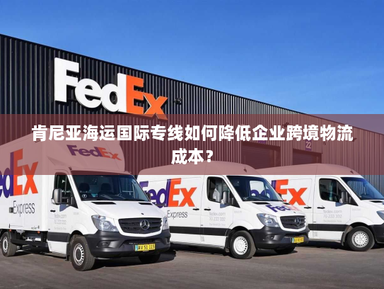 肯尼亚海运国际专线如何降低企业跨境物流成本? 肯尼亚海运国际专线如何降低企业跨境物流成本?