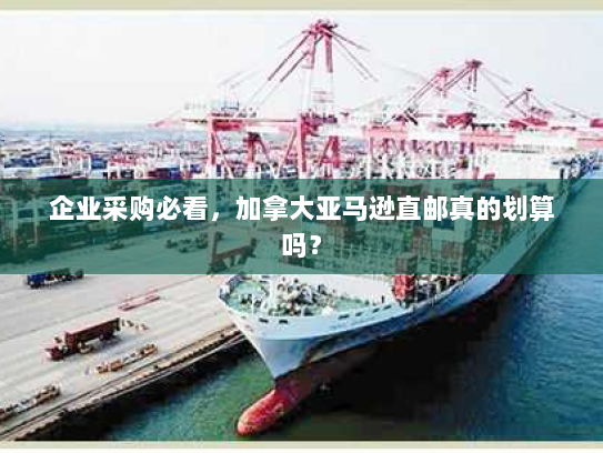 企业采购必看,加拿大亚马逊直邮真的划算吗? 企业采购必看,加拿大亚马逊直邮真的划算吗?