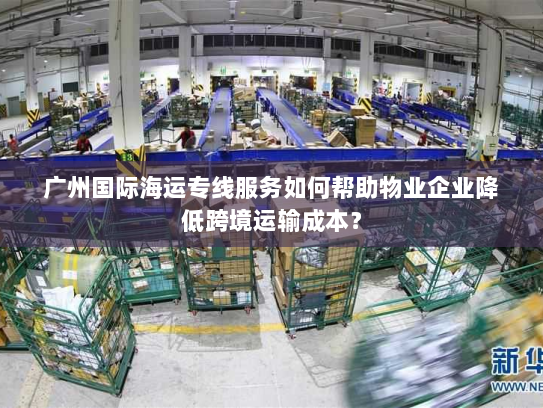 广州国际海运专线服务如何帮助物业企业降低跨境运输成本？