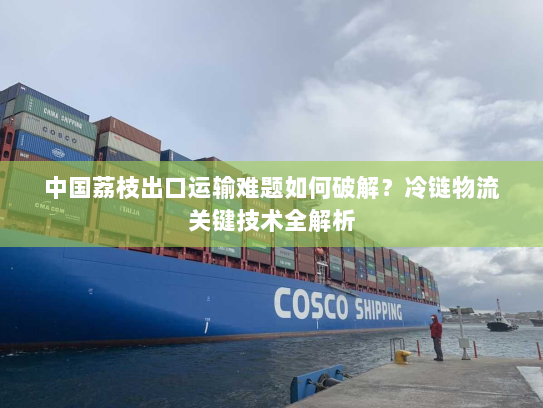 中国荔枝出口运输难题如何破解？冷链物流关键技术全解析