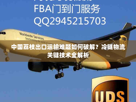 中国荔枝出口运输难题如何破解？冷链物流关键技术全解析