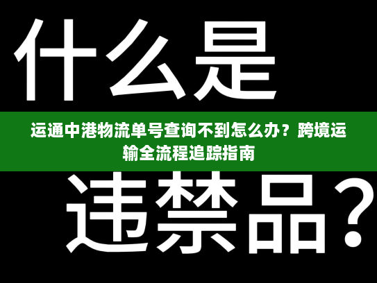 运通中港物流单号查询不到怎么办?跨境运输全流程追踪指南 运通中港物流单号查询不到怎么办?跨境运输全流程追踪指南