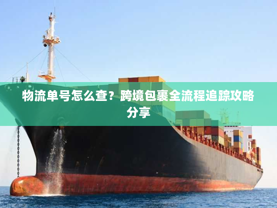 物流单号怎么查？跨境包裹全流程追踪攻略分享