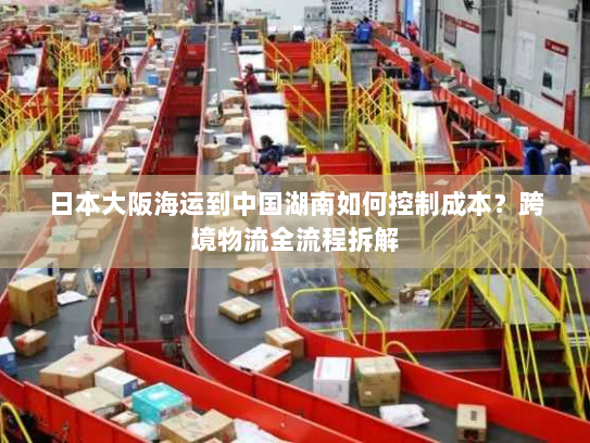 日本大阪海运到中国湖南如何控制成本？跨境物流全流程拆解