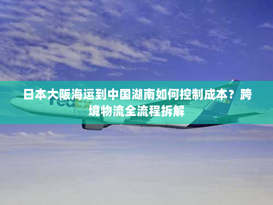 日本大阪海运到中国湖南如何控制成本？跨境物流全流程拆解