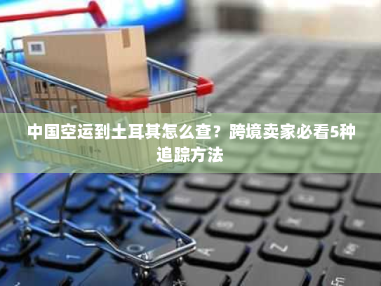 中国空运到土耳其怎么查?跨境卖家必看5种追踪方法 中国空运到土耳其怎么查?跨境卖家必看5种追踪方法