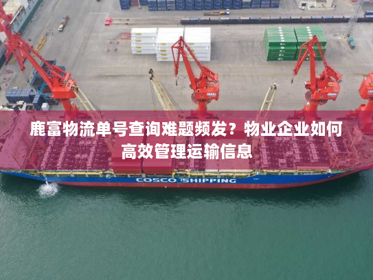 鹿富物流单号查询难题频发?物业企业如何高效管理运输信息 鹿富物流单号查询难题频发?物业企业如何高效管理运输信息