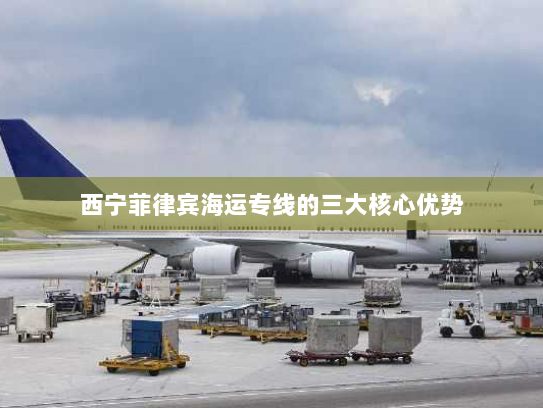 西宁菲律宾海运专线的三大核心优势 西宁菲律宾海运专线的三大核心优势