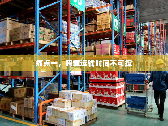 痛点一,跨境运输时间不可控 痛点一,跨境运输时间不可控
