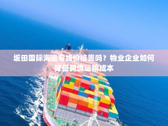 坂田国际海运专线价格贵吗?物业企业如何降低跨境运输成本 坂田国际海运专线价格贵吗?物业企业如何降低跨境运输成本