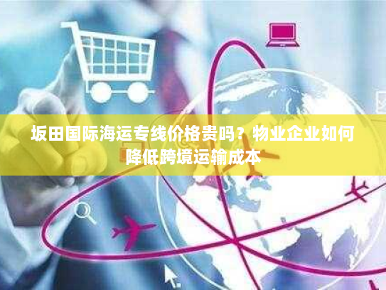 坂田国际海运专线价格贵吗?物业企业如何降低跨境运输成本 坂田国际海运专线价格贵吗?物业企业如何降低跨境运输成本