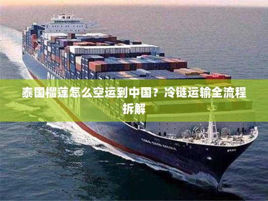 泰国榴莲怎么空运到中国?冷链运输全流程拆解 泰国榴莲怎么空运到中国?冷链运输全流程拆解