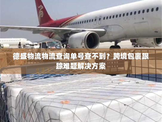 德盛物流物流查询单号查不到？跨境包裹跟踪难题解决方案