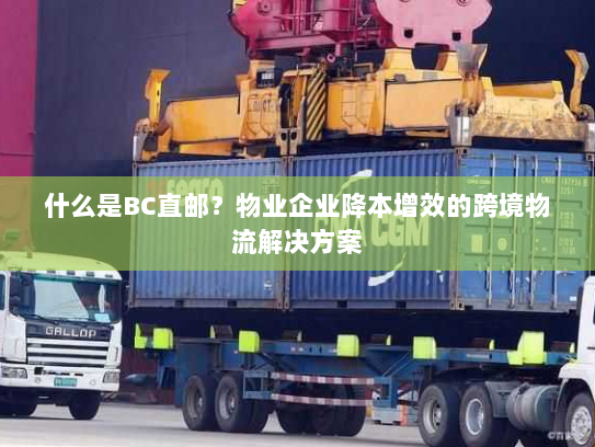 什么是BC直邮?物业企业降本增效的跨境物流解决方案 什么是BC直邮?物业企业降本增效的跨境物流解决方案