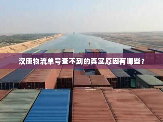 汉唐物流单号查不到的真实原因有哪些? 汉唐物流单号查不到的真实原因有哪些?