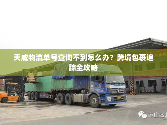 天威物流单号查询不到怎么办？跨境包裹追踪全攻略