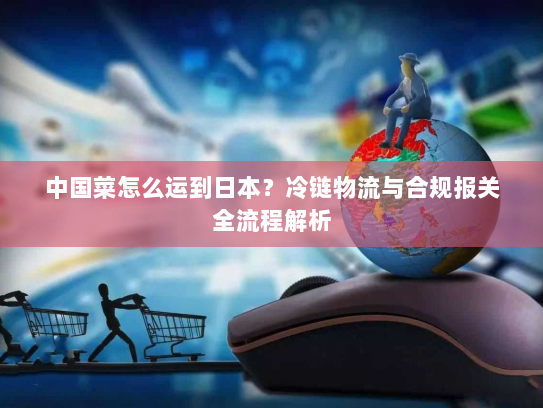 中国菜怎么运到日本?冷链物流与合规报关全流程解析 中国菜怎么运到日本?冷链物流与合规报关全流程解析