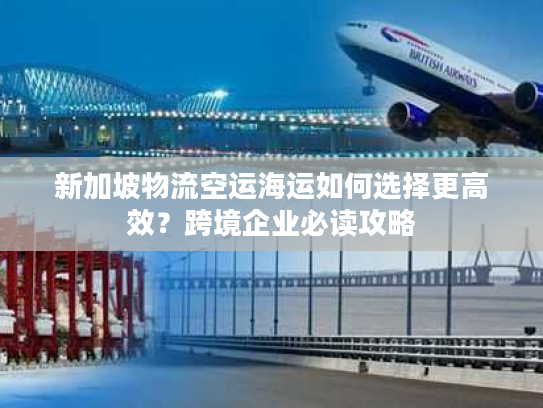 新加坡物流空运海运如何选择更高效？跨境企业必读攻略