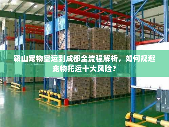 鞍山宠物空运到成都全流程解析,如何规避宠物托运十大风险? 鞍山宠物空运到成都全流程解析,如何规避宠物托运十大风险?