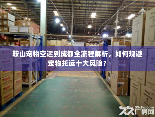 鞍山宠物空运到成都全流程解析,如何规避宠物托运十大风险? 鞍山宠物空运到成都全流程解析,如何规避宠物托运十大风险?