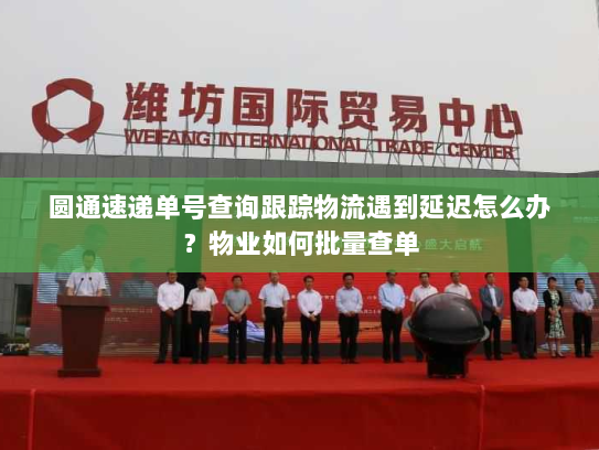 圆通速递单号查询跟踪物流遇到延迟怎么办?物业如何批量查单 圆通速递单号查询跟踪物流遇到延迟怎么办?物业如何批量查单