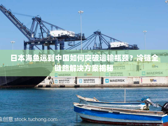 日本海鱼运到中国如何突破运输瓶颈?冷链全链路解决方案揭秘 日本海鱼运到中国如何突破运输瓶颈?冷链全链路解决方案揭秘