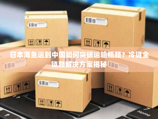 日本海鱼运到中国如何突破运输瓶颈?冷链全链路解决方案揭秘 日本海鱼运到中国如何突破运输瓶颈?冷链全链路解决方案揭秘