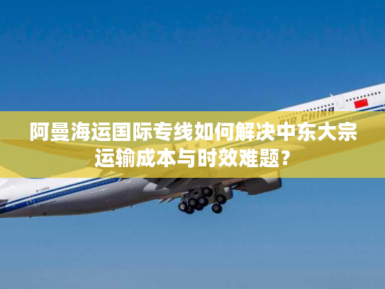 阿曼海运国际专线如何解决中东大宗运输成本与时效难题？