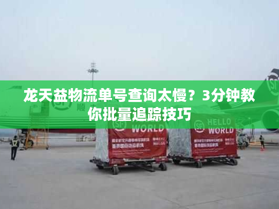 龙天益物流单号查询太慢？3分钟教你批量追踪技巧