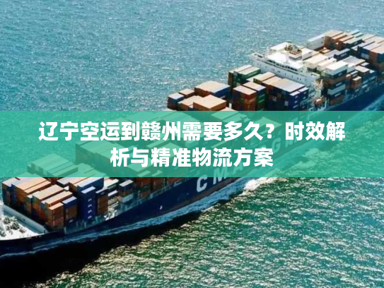 辽宁空运到赣州需要多久？时效解析与精准物流方案