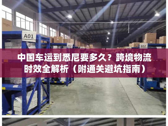 中国车运到悉尼要多久？跨境物流时效全解析（附通关避坑指南）