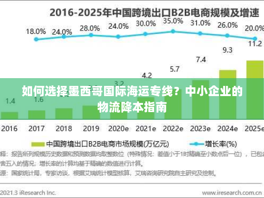 如何选择墨西哥国际海运专线?中小企业的物流降本指南 如何选择墨西哥国际海运专线?中小企业的物流降本指南