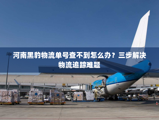 河南黑豹物流单号查不到怎么办?三步解决物流追踪难题 河南黑豹物流单号查不到怎么办?三步解决物流追踪难题