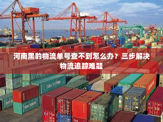 河南黑豹物流单号查不到怎么办?三步解决物流追踪难题 河南黑豹物流单号查不到怎么办?三步解决物流追踪难题