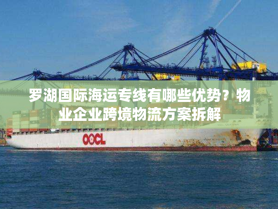 罗湖国际海运专线有哪些优势？物业企业跨境物流方案拆解