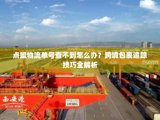 点盟物流单号查不到怎么办？跨境包裹追踪技巧全解析