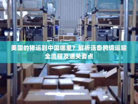 美国的猪运到中国哪里？解析活畜跨境运输全流程及通关要点