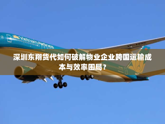 深圳东翔货代如何破解物业企业跨国运输成本与效率困局? 深圳东翔货代如何破解物业企业跨国运输成本与效率困局?