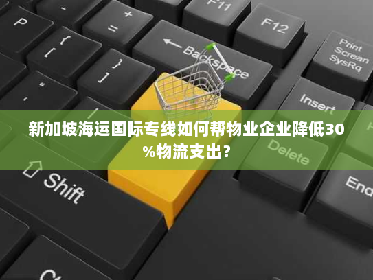 新加坡海运国际专线如何帮物业企业降低30%物流支出？