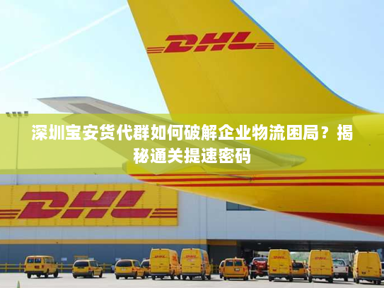 深圳宝安货代群如何破解企业物流困局?揭秘通关提速密码 深圳宝安货代群如何破解企业物流困局?揭秘通关提速密码