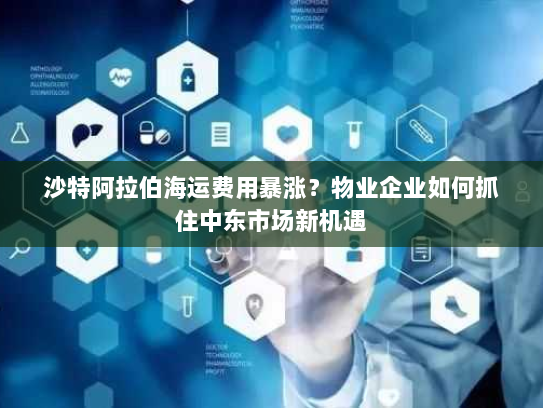沙特阿拉伯海运费用暴涨?物业企业如何抓住中东市场新机遇 沙特阿拉伯海运费用暴涨?物业企业如何抓住中东市场新机遇