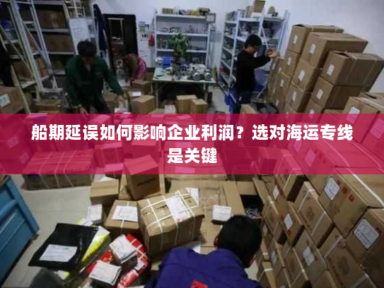 船期延误如何影响企业利润？选对海运专线是关键
