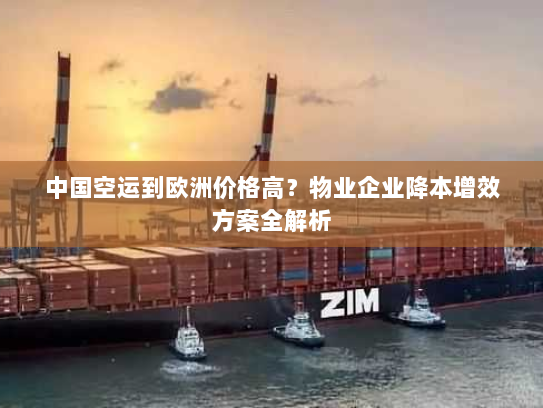 中国空运到欧洲价格高？物业企业降本增效方案全解析