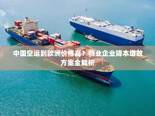 中国空运到欧洲价格高？物业企业降本增效方案全解析