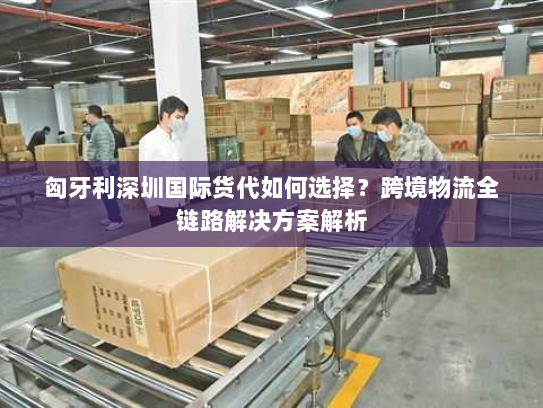 匈牙利深圳国际货代如何选择?跨境物流全链路解决方案解析 匈牙利深圳国际货代如何选择?跨境物流全链路解决方案解析