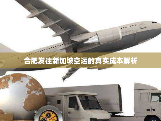 合肥发往新加坡空运的真实成本解析 合肥发往新加坡空运的真实成本解析