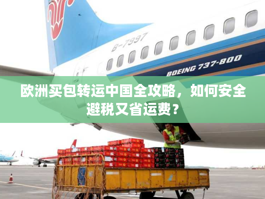欧洲买包转运中国全攻略，如何安全避税又省运费？