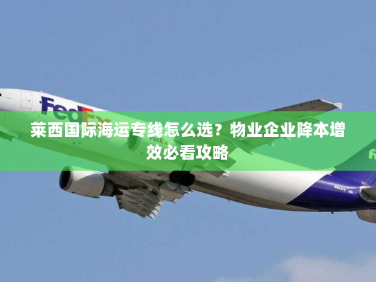 莱西国际海运专线怎么选?物业企业降本增效必看攻略 莱西国际海运专线怎么选?物业企业降本增效必看攻略