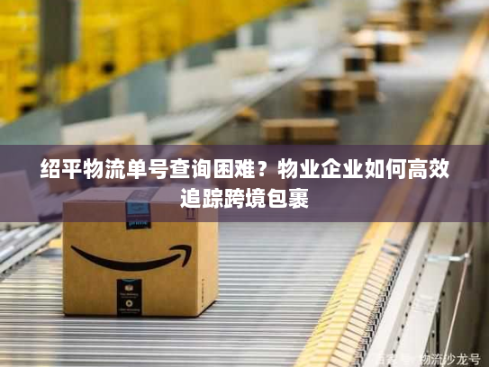 绍平物流单号查询困难?物业企业如何高效追踪跨境包裹 绍平物流单号查询困难?物业企业如何高效追踪跨境包裹