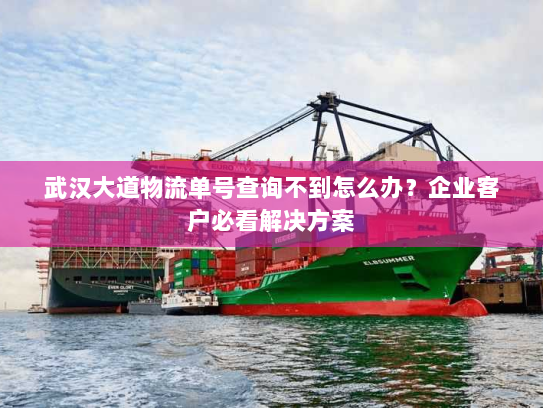 武汉大道物流单号查询不到怎么办?企业客户必看解决方案 武汉大道物流单号查询不到怎么办?企业客户必看解决方案